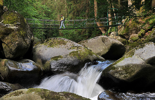 Urlaub in Freyung-Grafenau Wandergebiet Buchberger Leite im Bayerischen Wald